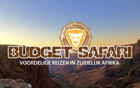 Budget safari nieuws